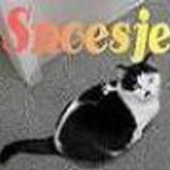 snoesjepronk