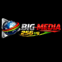 BIG-MEDIA 256 ug