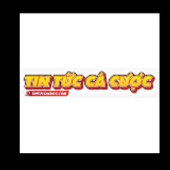 Tin Tức Cá Cược