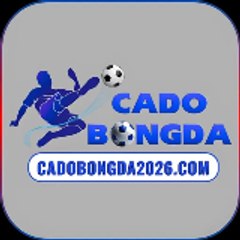 Web cá độ bóng đá