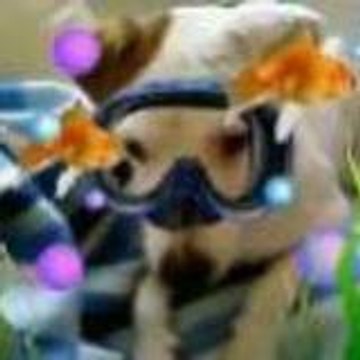 Frédérique Trackoen