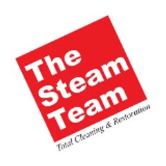 The Steam Team