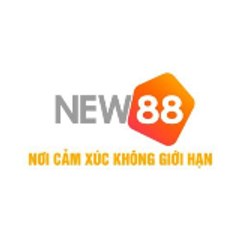 NEW88
