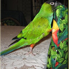 kiliye