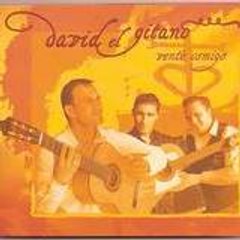 DAVID EL GITANO