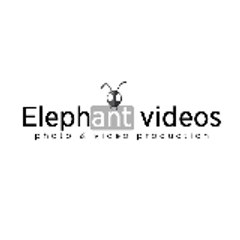 Elephant_videos