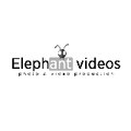 Elephant Elephant_videos