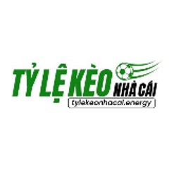 Alex Reed_CEO_Tỷ lệ kèo nhà cái