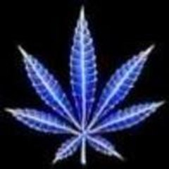 william