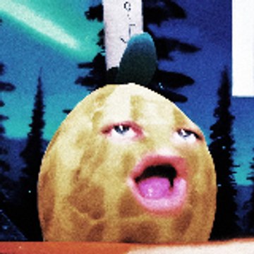The Daily Nuts TV