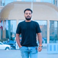 Mahmoud Naseer