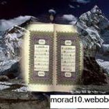 mosleme