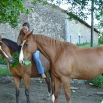 Ennely