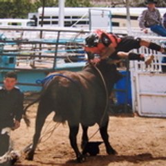 nmbullfighter