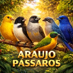 Araujo Passaros