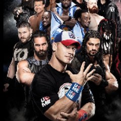 Wrestling zone