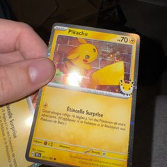 Toto & Momo TCG