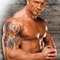 The_animal_Batista