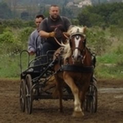 Hydalgo34