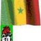 Le Club Socialisme Republique Senegal