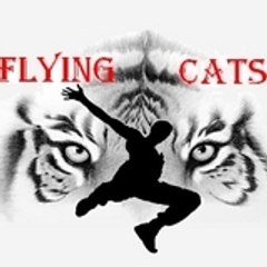 flying cats