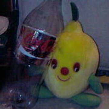 Mr Citron