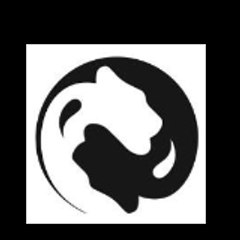 whitetigerqigong