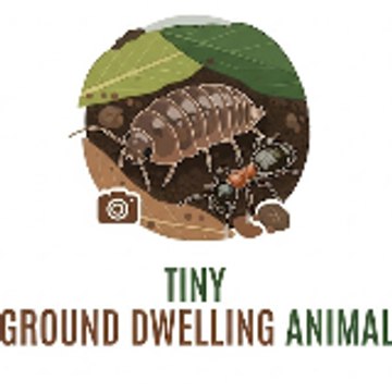 Tiny Ground Dwelling Animal