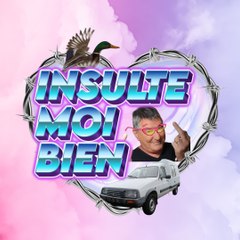 Insulte moi bien