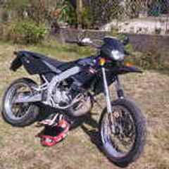 wilouxxxxx31