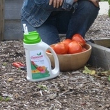 Osmocote Fertilizer