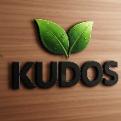Kudos Ayurveda Official