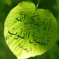 QURAN  آيات بينات