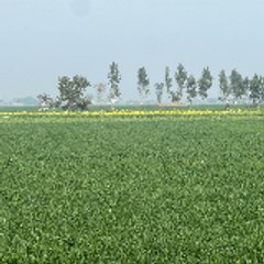 Life is so beautiful