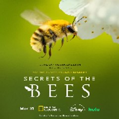 Secrets of the Bees 〈 Full Movie 〉