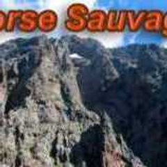 Corse sauvage et culturelle