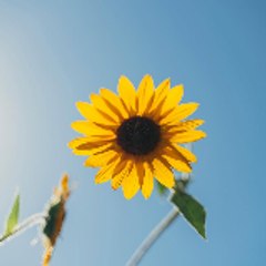 I’m here for the shorts