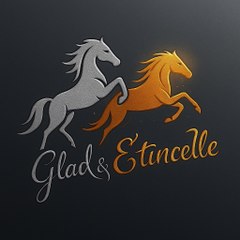 Glad & Etincelle ✨