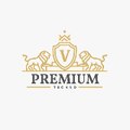 Premium Techno