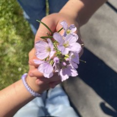 May