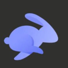 Rabby Wallet Wrong Network Issue