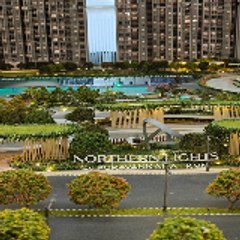 Purva Northern Lights