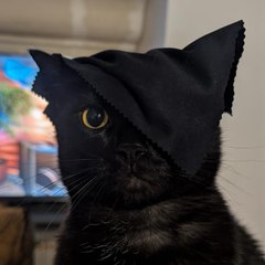 El Alami Anas
