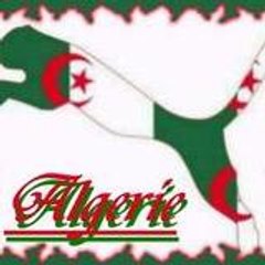 alger42