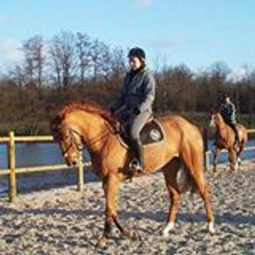 amelie52