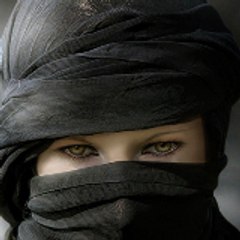 صوت القلب