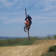 roms813