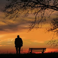 Emotional life