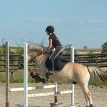 pollendragon49