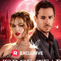 Film Fever